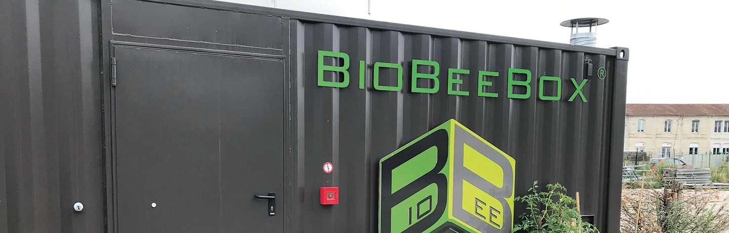 BioBeeBox Bordeaux - Plantations avec compost produit